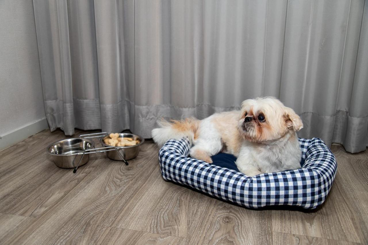 Radisson Rio De Janeiro Barra Hotel Luaran gambar A dog in a dog bed